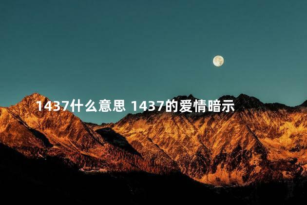 1437什么意思 1437的爱情暗示语